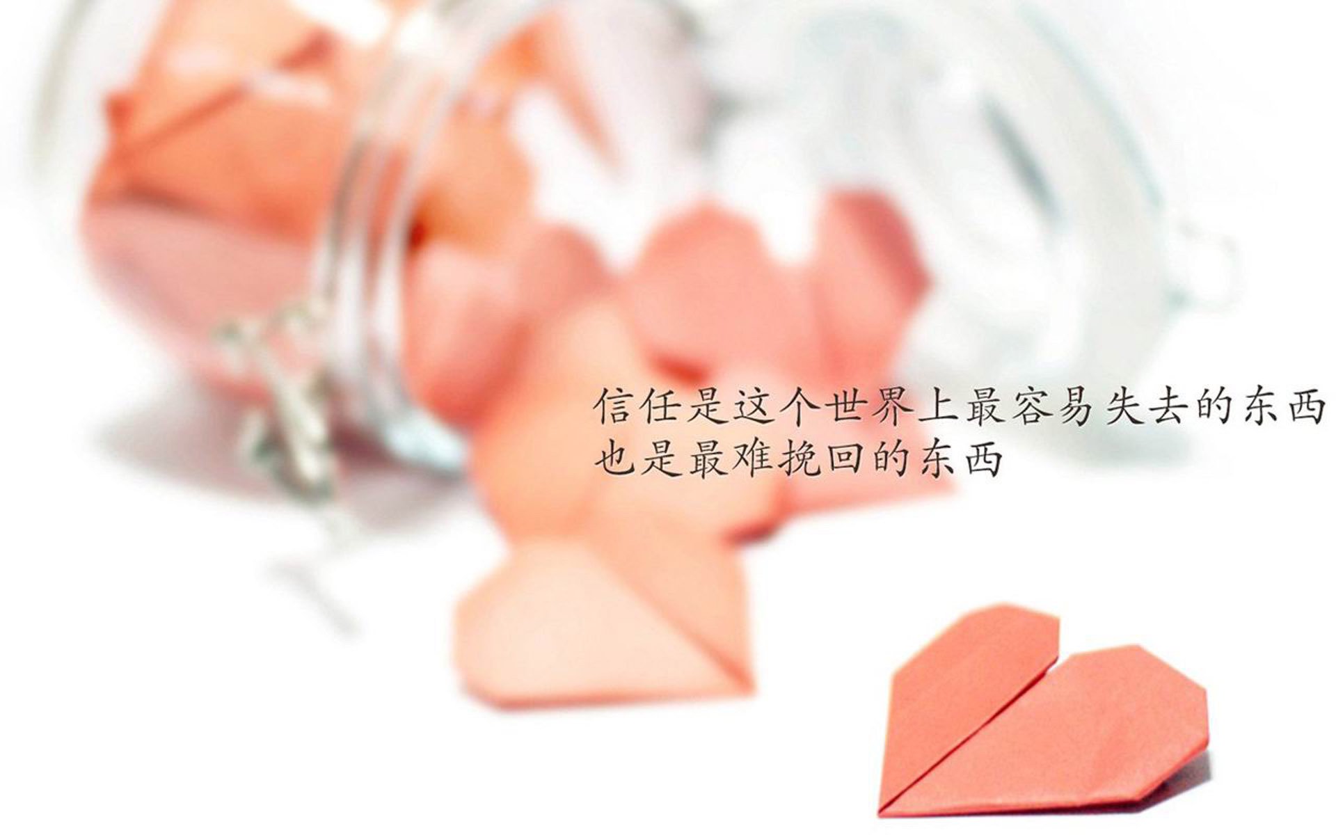 深圳新鹏城引援策略独特，球队实力提升明显，深圳鹏城新农业科技集团有限公司