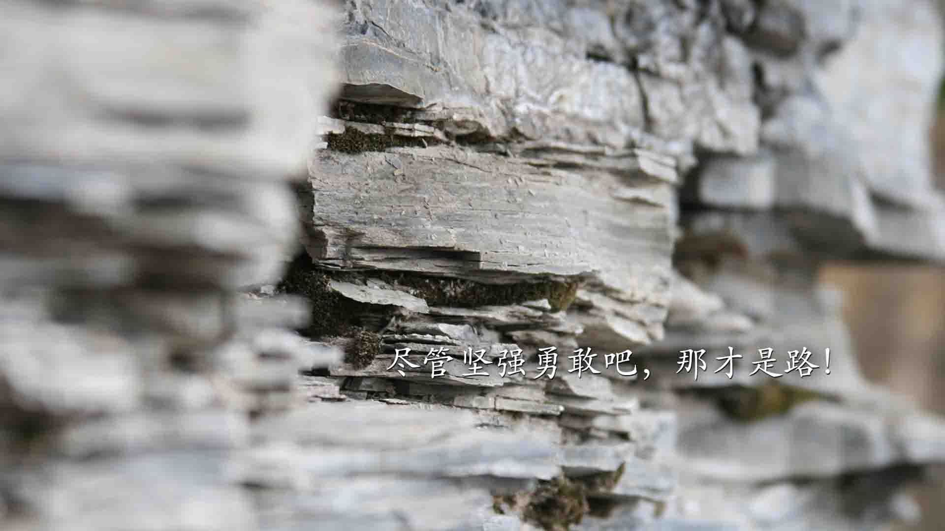 JDG开设战术工作坊，所有教练参与数据复盘设计