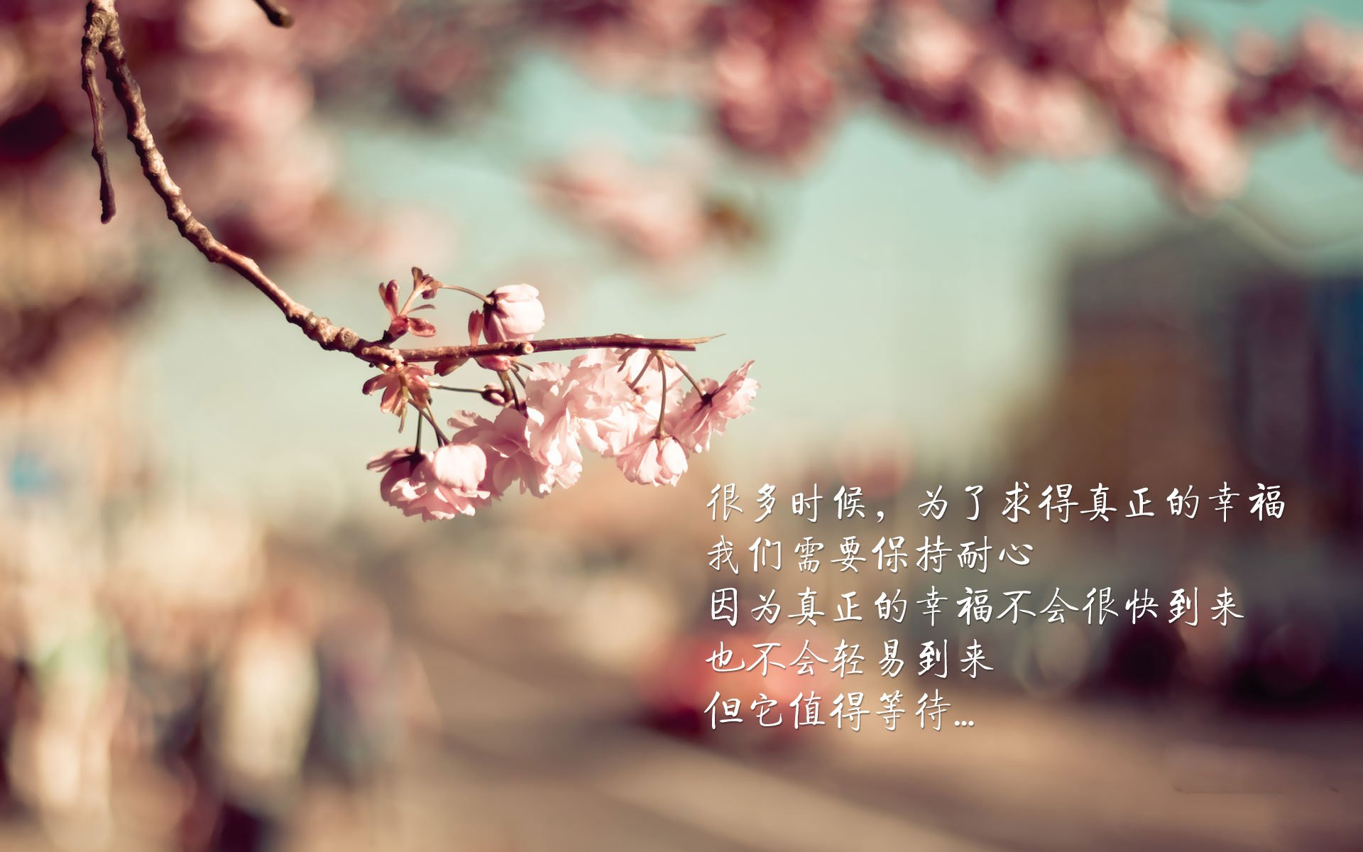 体育俱乐部青训成果逐渐显现，俱乐部青训是什么意思