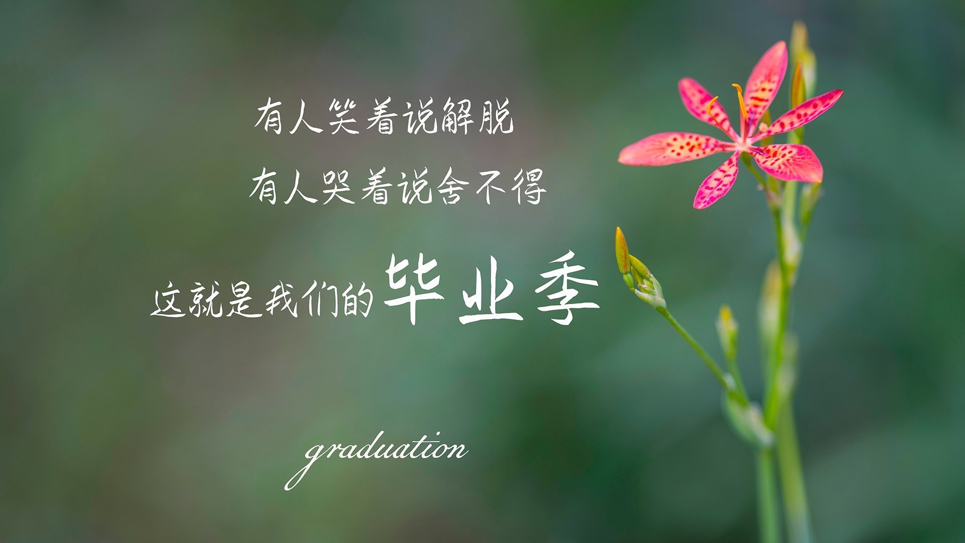 巴黎主场碾压南安普顿，豪取五连胜，巴黎主场碾压南安普顿,豪取五连胜是真的吗