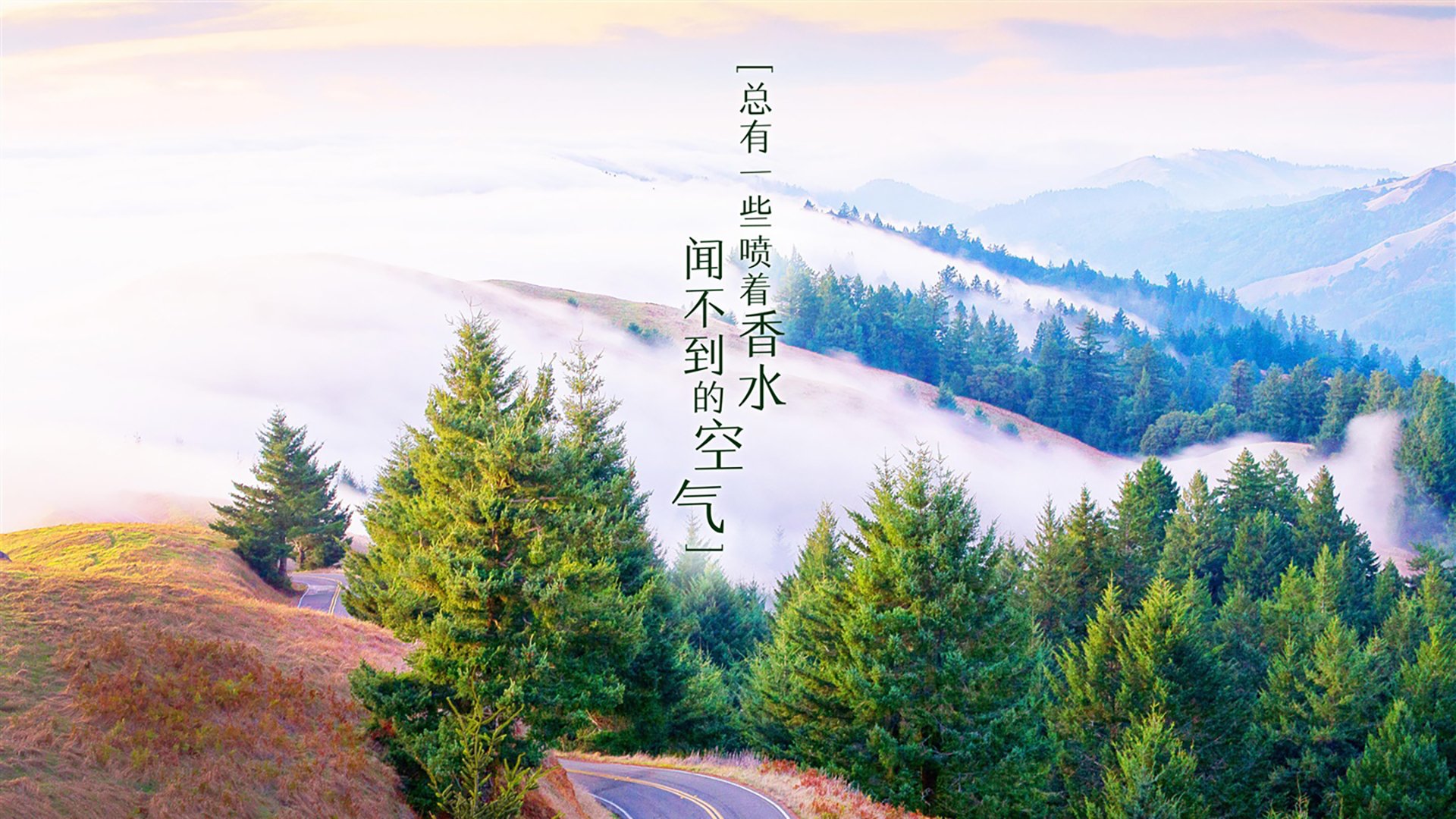 巴黎圣日耳曼防线稳固，巴黎圣日耳曼如何