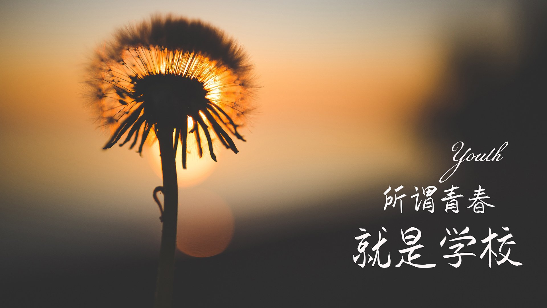 欧洲国家队重装上阵，凭借团结力量摘得胜利果实，欧洲国家队最新排名
