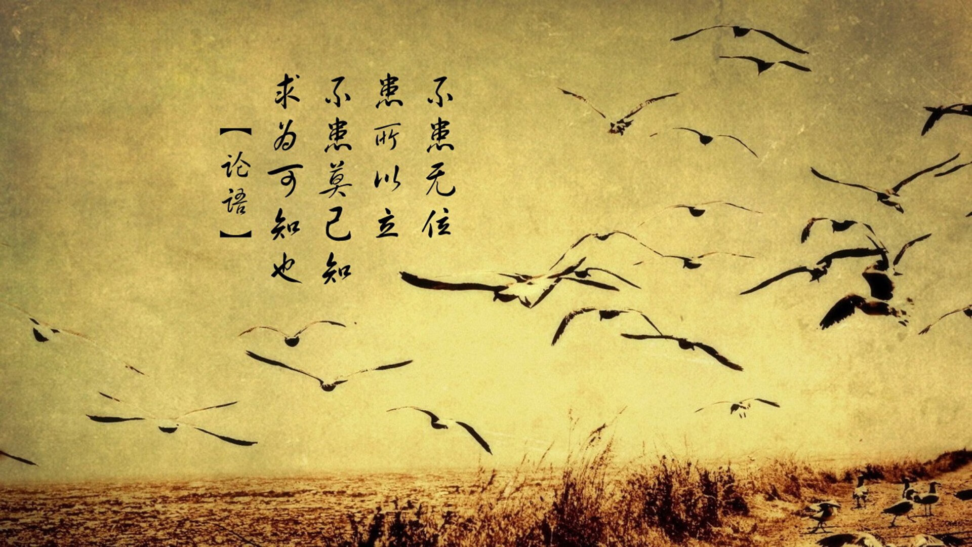 校园活动组织创新，大学校园活动方案创新创意
