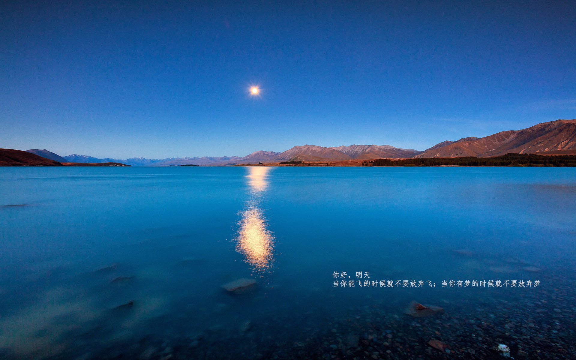 澳男将首次闯入蝶泳项目奖牌区,奥运会蝶泳1v7