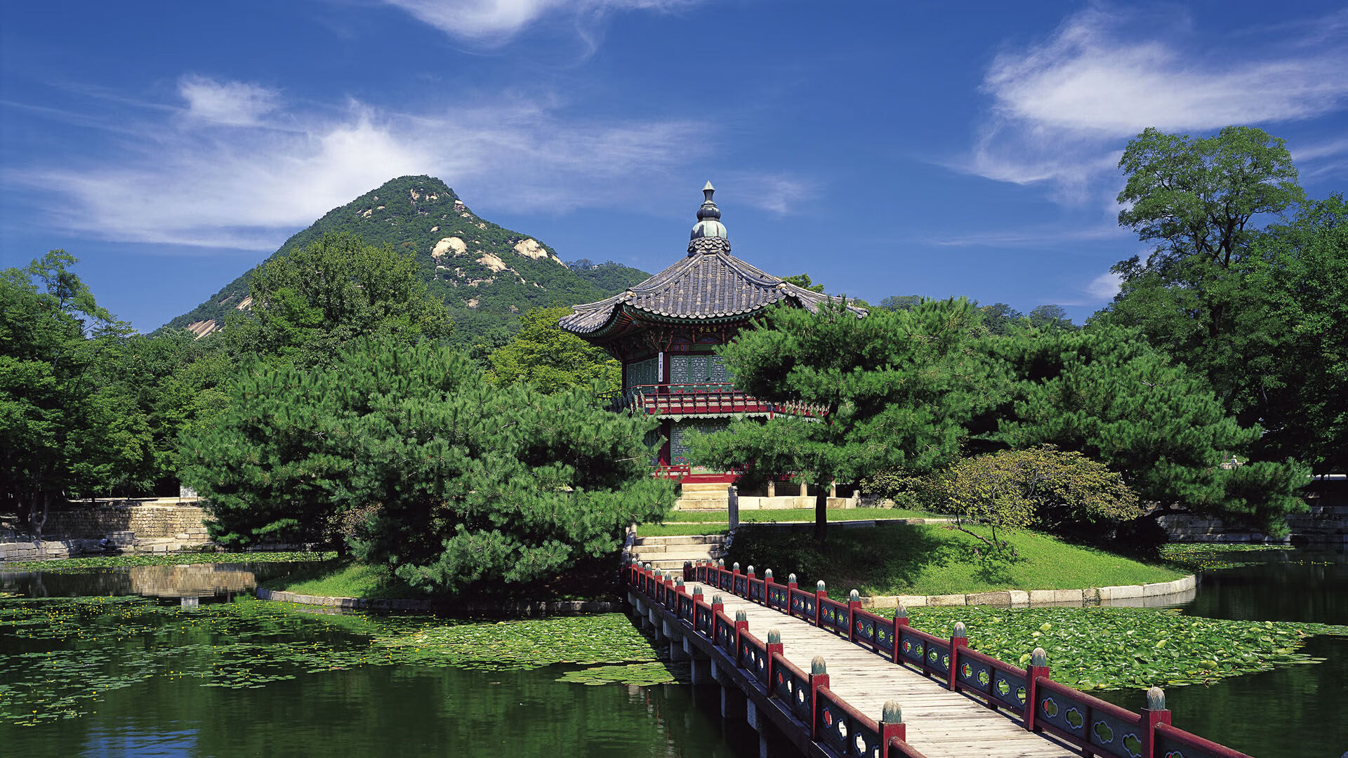 仰泳冲刺中立代表队A女将稳中有升，仰泳 2017