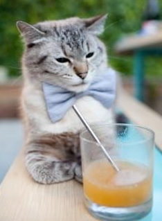 卢森堡男篮在欧洲预赛中爆出冷门,迈向国际舞台