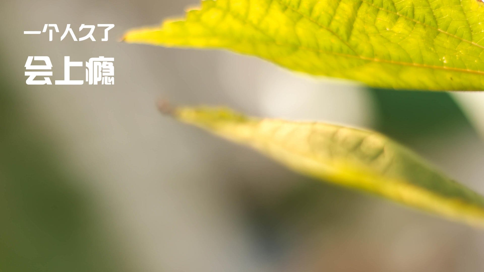 羽毛球战术创新激发国际比赛竞争力，羽毛球比赛战术分析