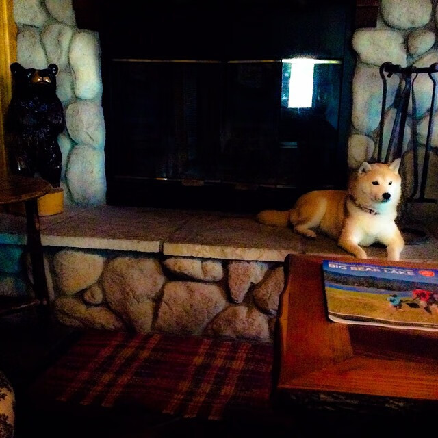 英超激情冲刺：胜负只在一线之间！，英超现场