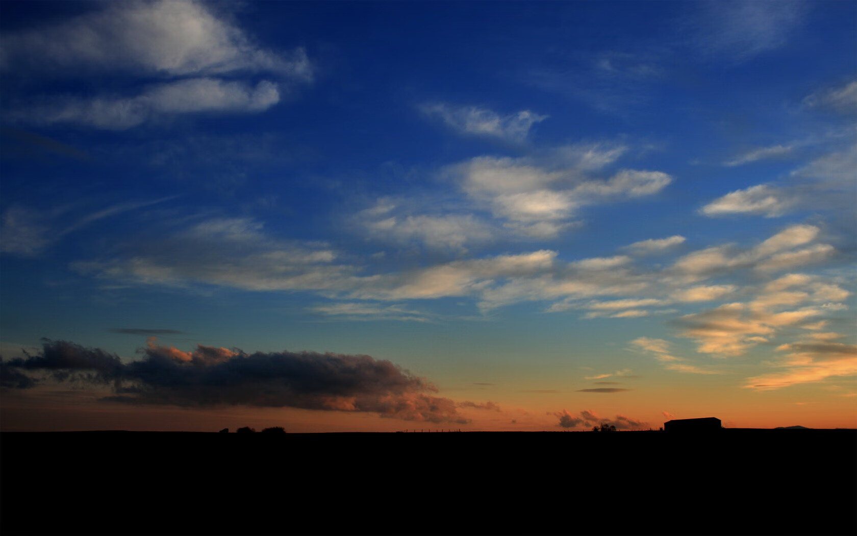 赞比亚男篮在非洲预赛中拼搏精进,迈向奥运新世纪,赞比亚篮球运动员